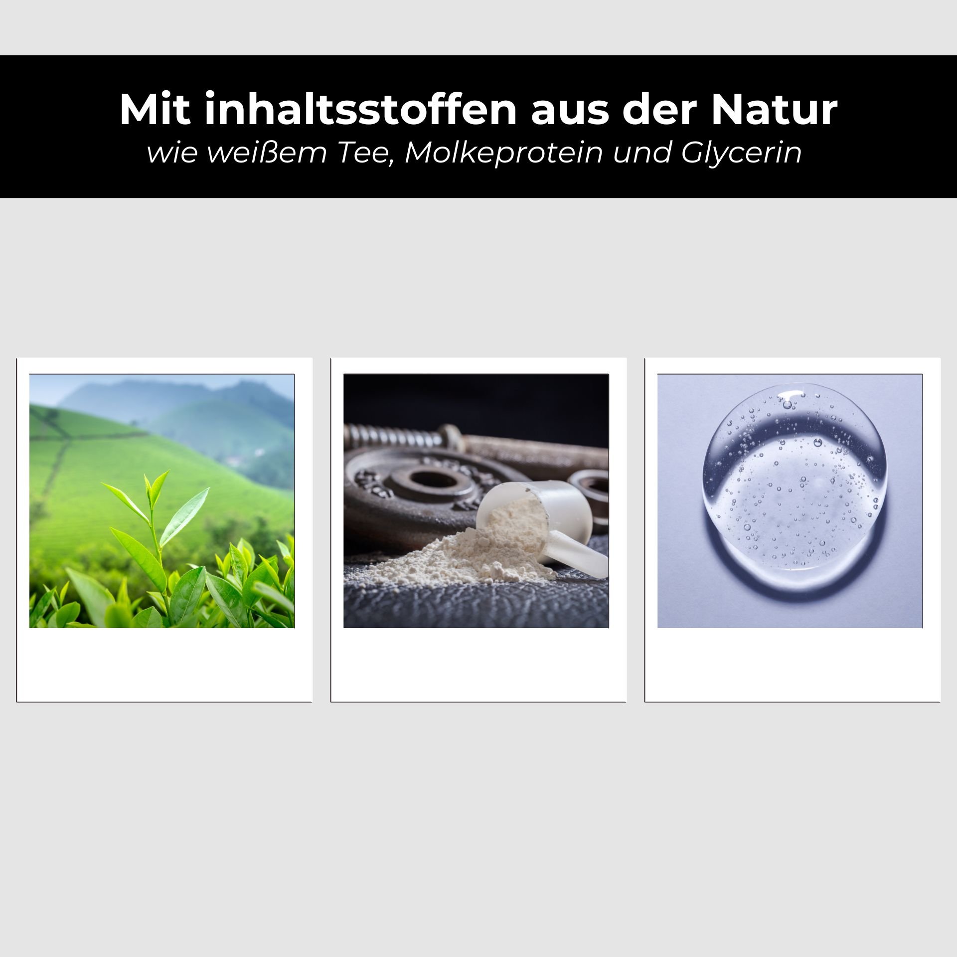 Kräuterig, Blatt, Boden, Bewuchs, Collage