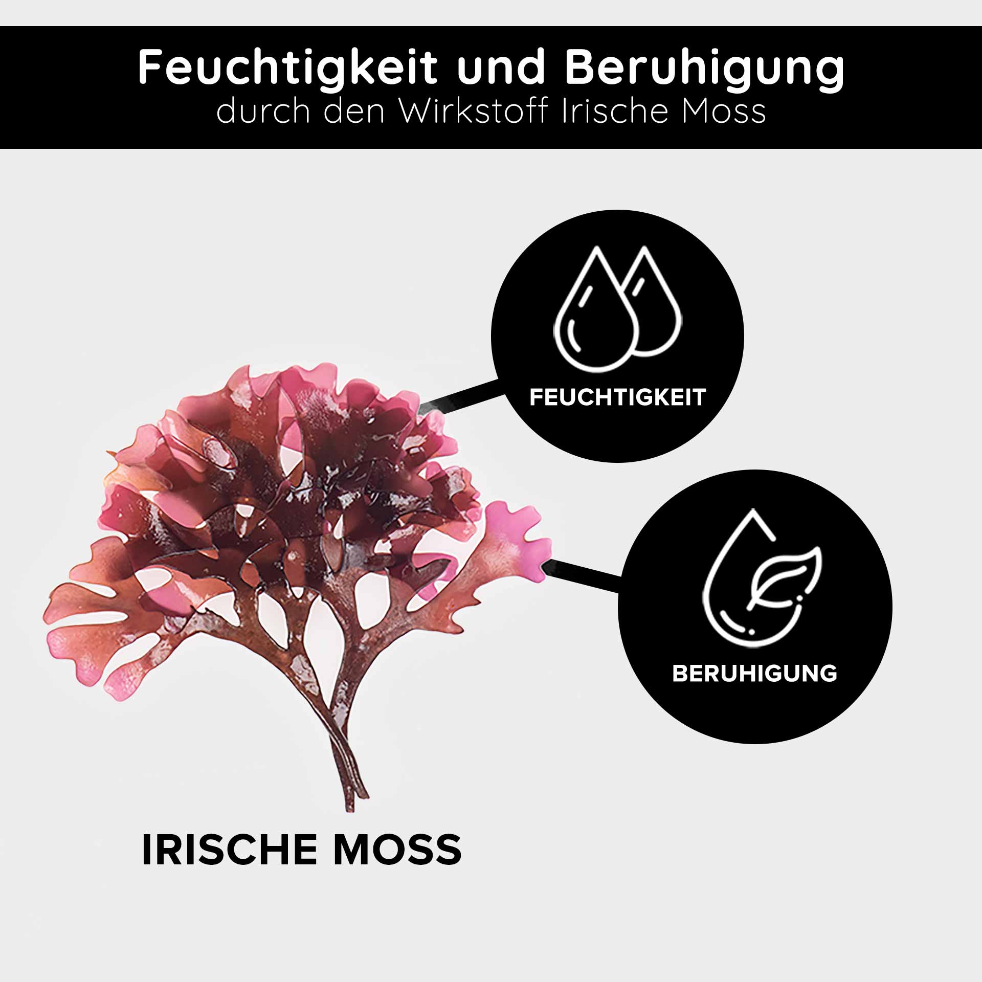 Triple Vitamin C Serum 100 ml with 11% vitamin C acids RAU Triple Vitamin C Serum mit Irischer Moos, das die feuchtigkeitsspendenden und beruhigenden Eigenschaften betont, mit Symbolen, die für Feuchtigkeit und beruhigende Wirkung stehen.