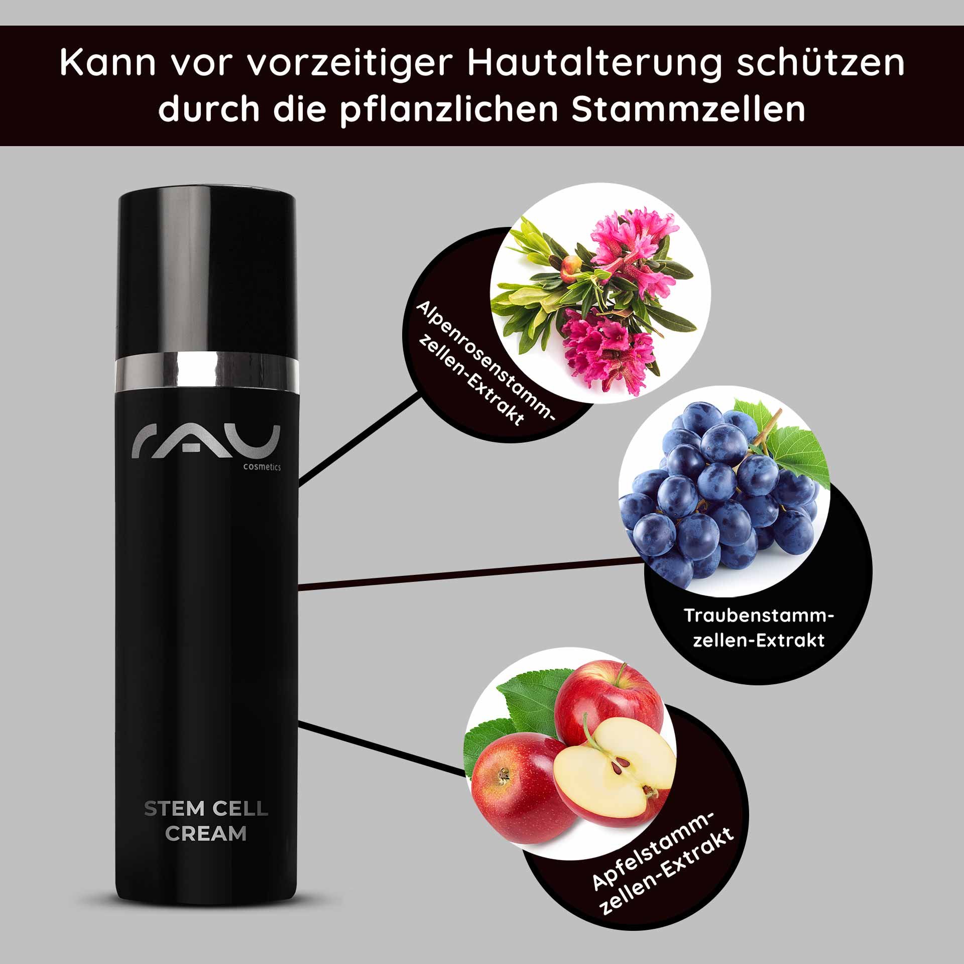Flasche der RAU Cosmetics Stem Cell Cream mit Text, der die Vorteile von Pflanzenstammzellenextrakten, einschließlich Apfel-, Trauben- und Alpenrosenstammzellen, für die Anti-Aging-Hautpflege hervorhebt.
