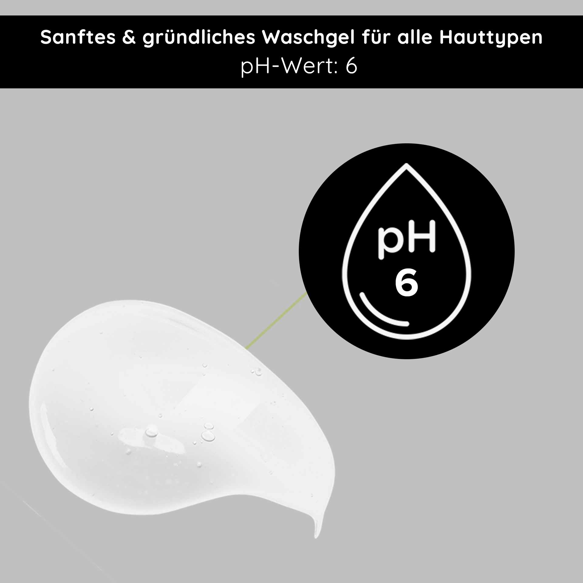 Silver Facial Wash Gel 1000 ml Microsilver Wash Gel Sanftes, gründliches Waschgel für alle Hauttypen mit pH-Wert 6, präsentiert für RAU Cosmetics Silver Facial Washgel.