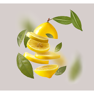 Zitronensäure_Wirkstoff Zitronenscheiben und Blätter, symbolisieren die vitamin C-reichen Inhaltsstoffe der RAU Triple Vitamin C Serum Produkte.