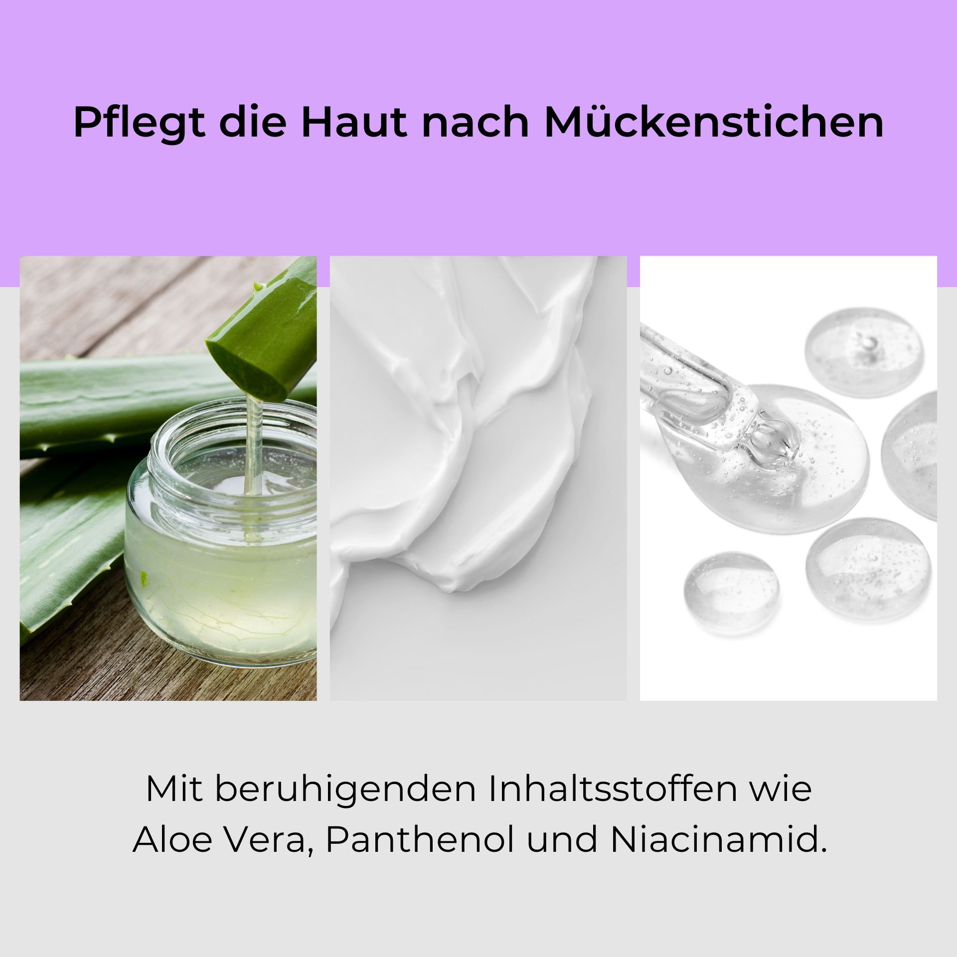 Pflege für die Haut nach Mückenstichen mit Aloe Vera, Panthenol und Niacinamid, dargestellt durch frische Aloe Vera Blätter, eine Creme und transparente Gelkapseln.