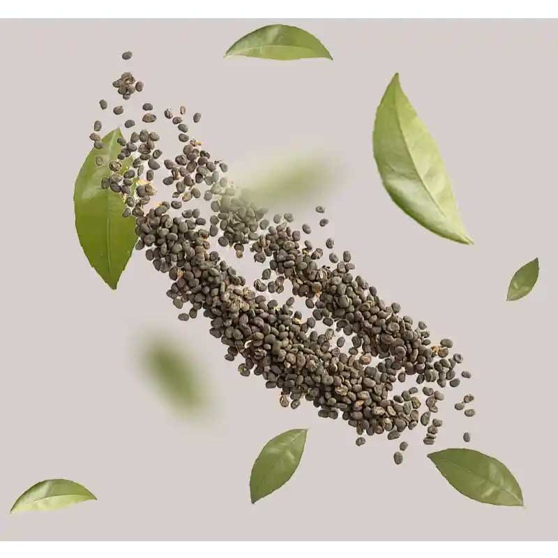 Flasche mit Bakuchiol & Vitamin E Daily Care Serum von RAU Cosmetics – Produktabbildung des Anti-Aging-Serums in einem eleganten Airless-Spender."