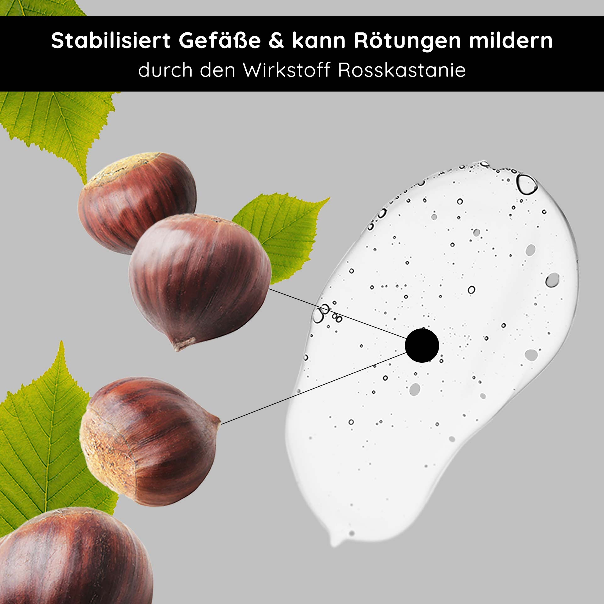 Anti Redness Couperose Serum 50 ml for Rosacea Anti-Redness Couperose Serum mit Rosskastanienextrakt, stabilisiert die Gefäße und reduziert Rötungen, mit sichtbaren Kastanien und grünen Blättern vor neutralem Hintergrund.