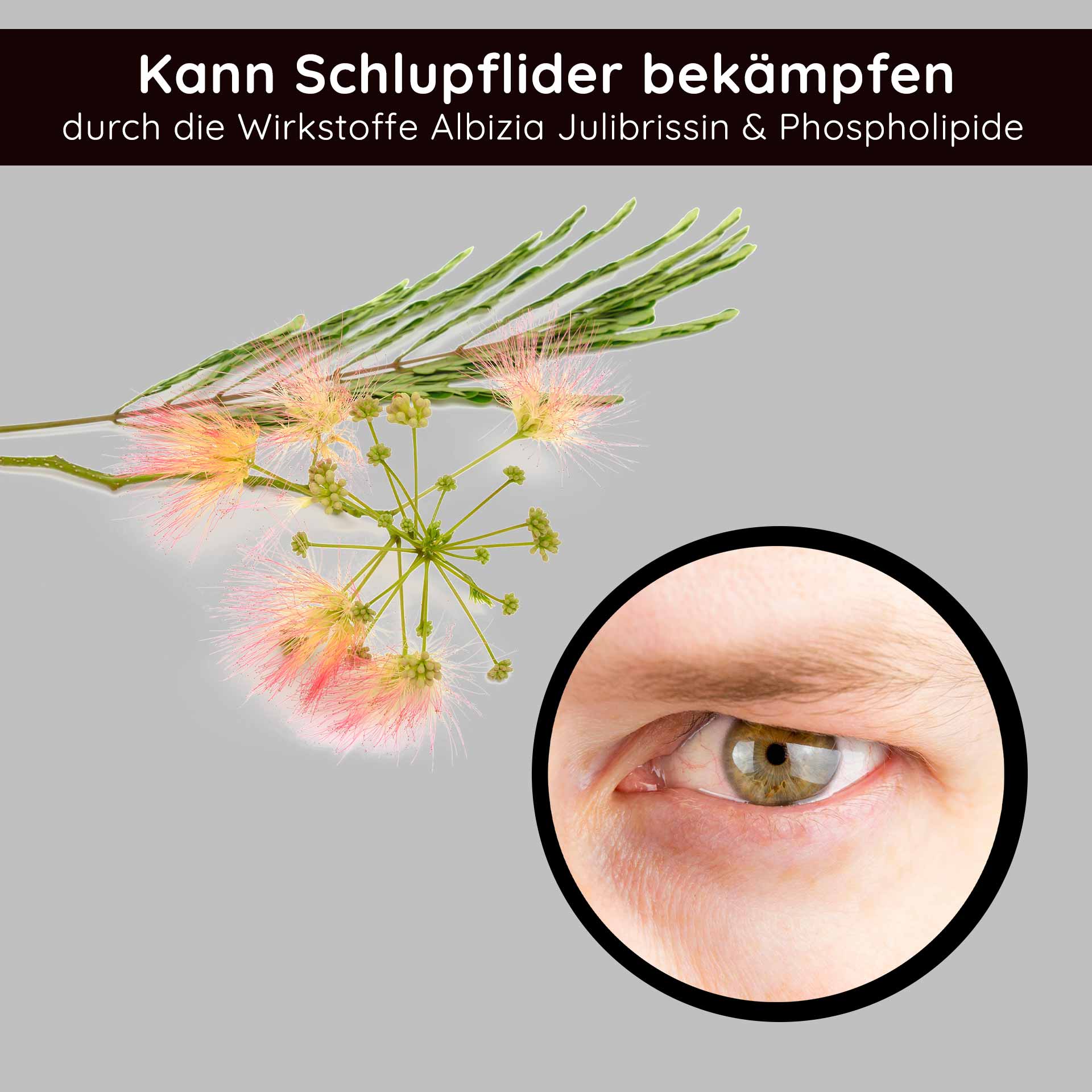 Stem Cell Eye Cream 15 ml Anti Aging Eye Cream RAU Cosmetics Stem Cell Eye Cream – luxuriöse Augencreme mit pflanzlichen Stammzellen aus Traube, Alpenrose und Schweizer Apfel. Abbildung des Produkts in einem eleganten Tiegel mit silbernem Deckel.