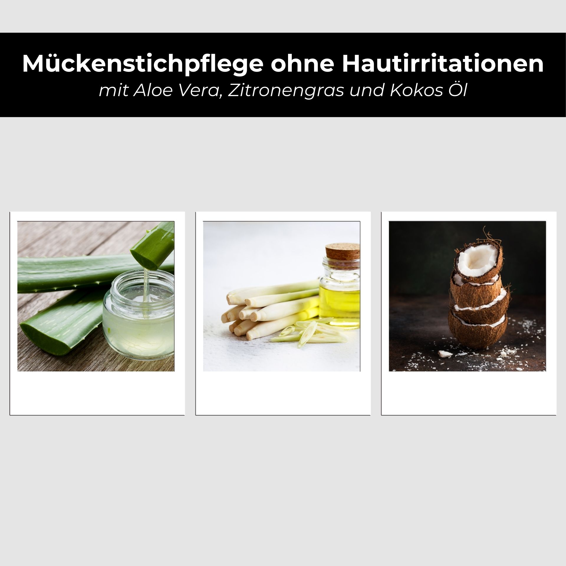 RAU Mosquito Set - Anti Sting & Sting Care Roll-On Essen, Obst, Pflanze, Produzieren