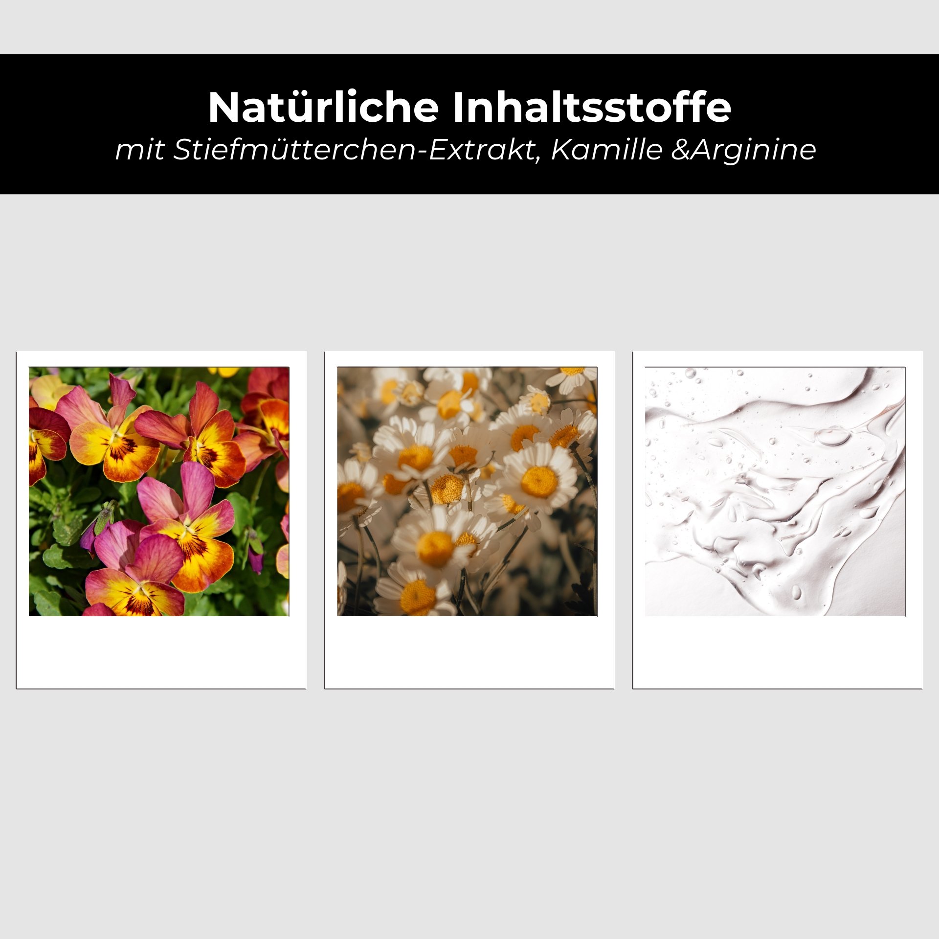 Collage of various flower petals and anemones representing the plant-based ingredients of the Purifying Tonic.