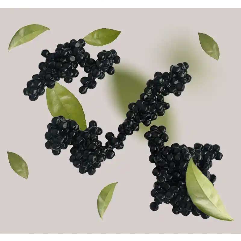 Caviar-01 Caviar-01