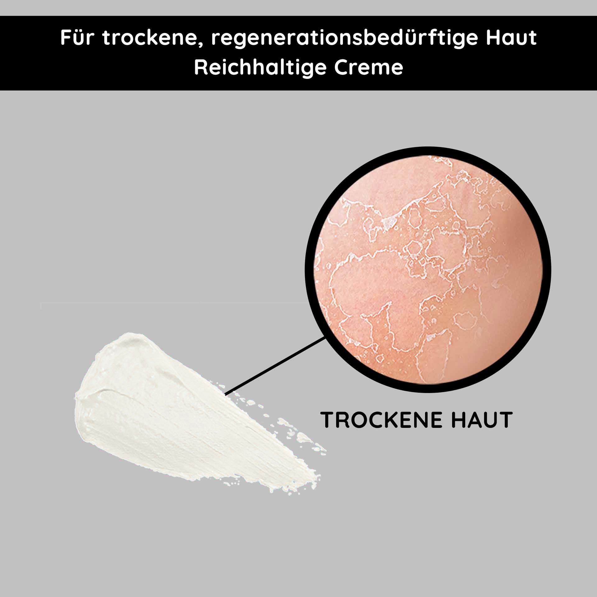 Regeneration with ginkgo: Illustration of the soothing effect on dry skin for a refreshed awakening.